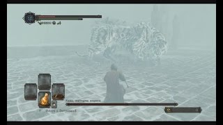 Dark Souls 2 Аава,питомец короля  Crown of the Ivory King №3