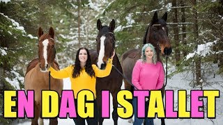 EN VINTRIG DAG I STALLET