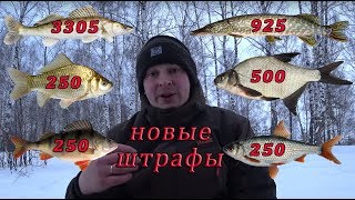 Штрафы за рыбалку 2020. Рыболовные правила 2020.Новые правила рыболовства 2019.Новый закон.