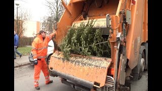 Blumentopferde aus alten Weihnachtsbäumen