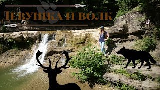 Девушка и волк - Красавина Маргарита / Стихотворение. Сказки. Стихи о приключениях.