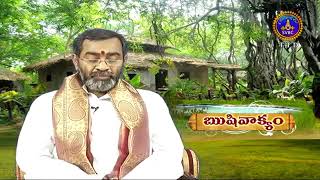 ఋషివాక్యం - దానం - దయ