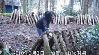 加賀・山代温泉　「うちの山の原木シイタケ成育中②」