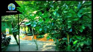 Punarnava Ayurveda Hospital