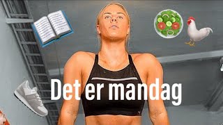En typisk mandag I VLOG 24