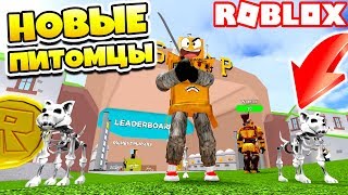СИМУЛЯТОР ПИТОМЦЕВ 3.0! НОВЫЕ ПИТОМЦЫ ВОИНЫ ROBLOX Warrior Simulator