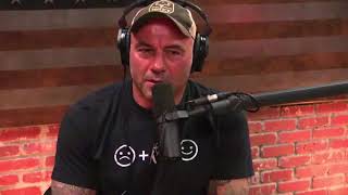 Joe Rogan - Donald Trump Jr. Wants to Be on the Podcast?
