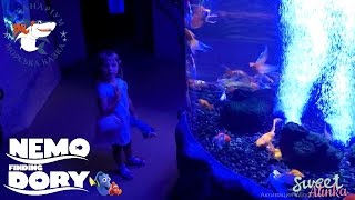 ОКЕАНАРИУМ КИЕВ ПОДВОДНЫЙ МИР В ПОИСКАХ НЕМО РЫБКА ДОРИ DORY NEMO OCEANARIUM