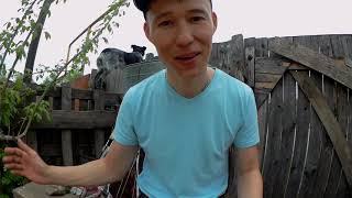 О весенней рыбалке на Амуре 2019. Лайф блог.