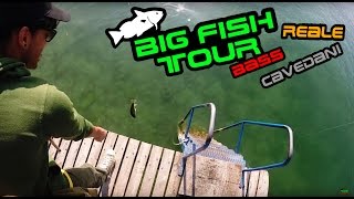 Big fish tour - A pesca sul Lago Di GARDA !!!