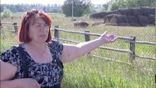 Дознание с Ильдаром Исангуловым. «Иглинский комбинатор» (Продолжение)