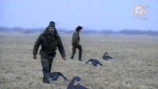 Охота на гусей. Весна 1996 года.