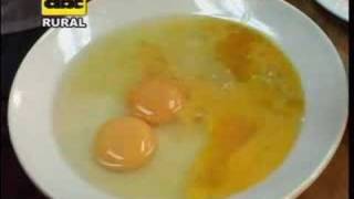 Calidad del huevo