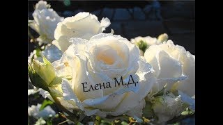 " У креста положу своё сердце как розу" Елена М.Д. христианская песня