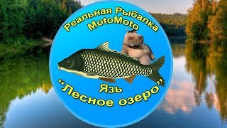 Как поймать Язя на Лесном озере | Реальная Рыбалка