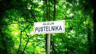 Spóźniłam się na mój ślub