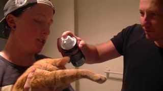 Shaving Pussy