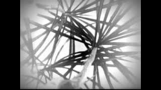 Hollywood Mon Amour - Forbidden Colours