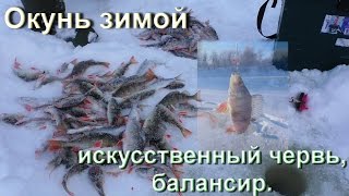 Ловля окуня на мормышку с использованием съедобной резины.