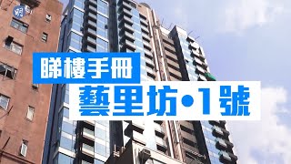 藝里坊．1號 「的骰」單位吸上車客｜西營盤｜現樓｜【睇樓手冊】