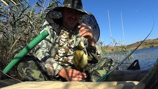 Золотой или красный карась? Рыбалка на озере. (Pescuit pe lac)
