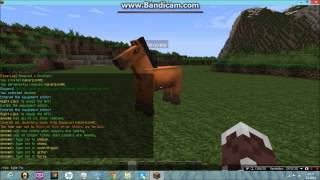 Minecraft Plugin Tanıtımı #1 -- Citizens Türkçe 1.7.2 (npc konuşturma)