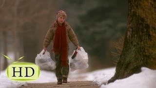 Один дома — Выпали продукты - эпизоды, цитаты из к/ф (11/21)