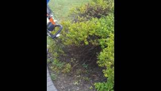 Bilateral arm Amputee Jason koger trimming  bushes