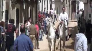 CARRERAS DE CABALLOS Y FIESTA EN ARROYO DE LA LUZ (CACERES)