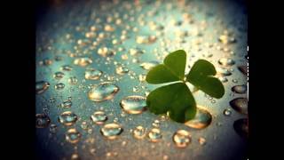 Kiss the Rain Violin