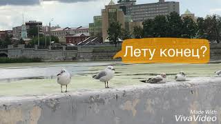 Артхаус  кино «лету конец»