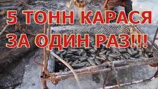 Шок! "Браконьерами" поймано 5 тонн карася в Ишимском районе.
