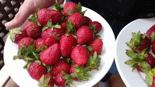 LARISSA ART BEACH KEMER 5* / Наши первые покупки в Турции / Опять идем на пляж / Пьяные гости отеля