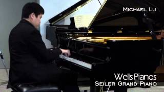 Seiler Grand Piano - Wells Pianos - Michael Lu