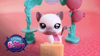 Littlest Pet Shop - 'Splash Park Party & Sweet School Day Playsets' Official TV Commercial