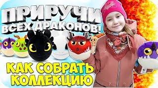 ? Как собрать всю коллекцию КАК ПРИРУЧИТЬ ДРАКОНА ? Коллекция из Магнита ПРИРУЧИ ВСЕХ ДРАКОНОВ ?
