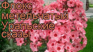 Флокс метельчатый Уральские сказы ? обзор: как сажать, рассада флокса Уральские сказы
