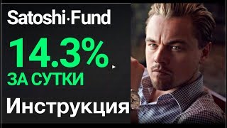 Satoshi Fund +14.3% за сутки! ИНСТРУКЦИЯ! Отзывы. Регистрация