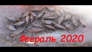 Рыбалка февраль 2020/Не плохой улов/Рыбалка в глухозимье/Помогли вытащить буран/Рыбалка на Урале