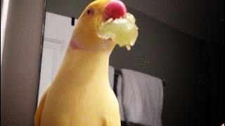 Talking With My Mouth Full