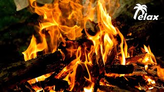 Bonfire Sound, Firewood Crackle and Nature Sounds - HD