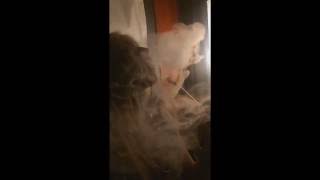 Открытие кальянного зала. Девушка сексуально курит кальян