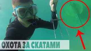 ЛАЗУРНОЕ 2019. ОХОТА на СКАТА с ОСТРОГОЙ. КРАБЫ. РЫБА. ПОДВОДНЫЙ МИР.