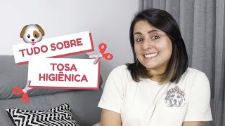 A importância da tosa higiênica para os cães