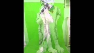 Bisquit husky Fursuit!