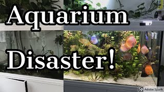 Why did my Aquarium crack? Aquarium worst nightmare!