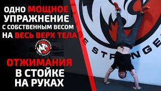 ОДНО УПРАЖНЕНИЕ ВЗОРВЕТ ВЕСЬ ВЕРХ ТЕЛА! БЕЗ ИНВЕНТАРЯ. КАК НАУЧИТЬСЯ ОТЖИМАНИЯ В СТОЙКЕ НА РУКАХ