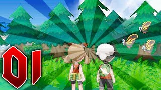 Pokémon Rubí Omega y Zafiro Alfa Let's Play - Episodio 1 | Consiguiendo la Pokédex