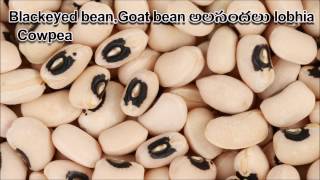 Pulses,Pappulu English Telugu Dr Murali Mohan Gurram