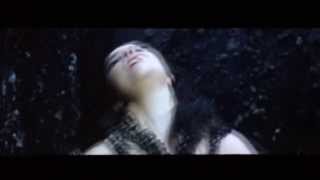 Black Lake - Björk